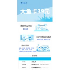 中國電信  大魚卡39元套餐【下訂單，中國郵政快遞包郵到家?！? width=