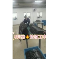 浙江江山電熱棒廠  長白班～兩班倒   男18-55，女18-50周歲