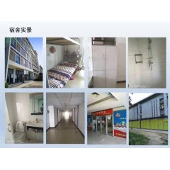 北京電子廠  招聘  女158以上，男165以上，年齡16-40歲