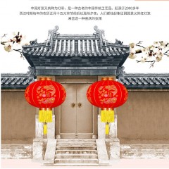 大紅燈籠 2020新款燈籠掛飾新年春節(jié)過(guò)年大門(mén)口大紅燈籠室內(nèi)戶外/個(gè)