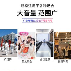 手提話筒音響 迷你低音炮 無(wú)線藍(lán)牙音箱 戶(hù)外便攜廣場(chǎng)舞