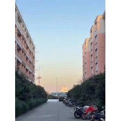 南京中電熊貓晶體  招聘：男18-35周歲，女18-40周歲。